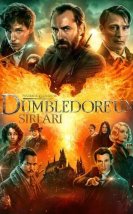 Fantastik Canavarlar: Dumbledore’un Sırları
