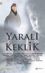 Yaralı Keklik