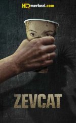 Zevcat