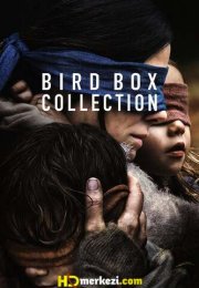 Bird Box Serisi