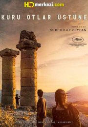Kuru Otlar Üstüne