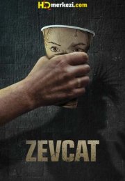 Zevcat