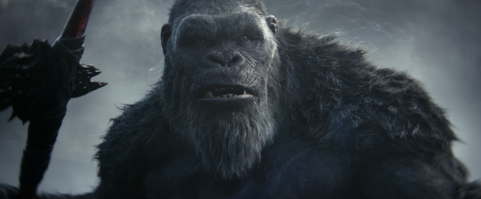 Godzilla ve Kong: Yeni İmparatorluk Ekran Görüntüsü 1