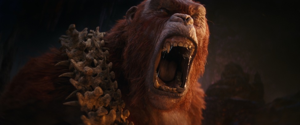 Godzilla ve Kong: Yeni İmparatorluk Ekran Görüntüsü 2