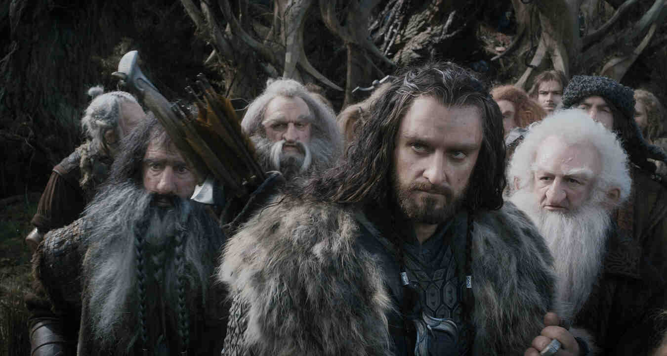 Hobbit: Smaug’un Çorak Toprakları Ekran Görüntüsü 2